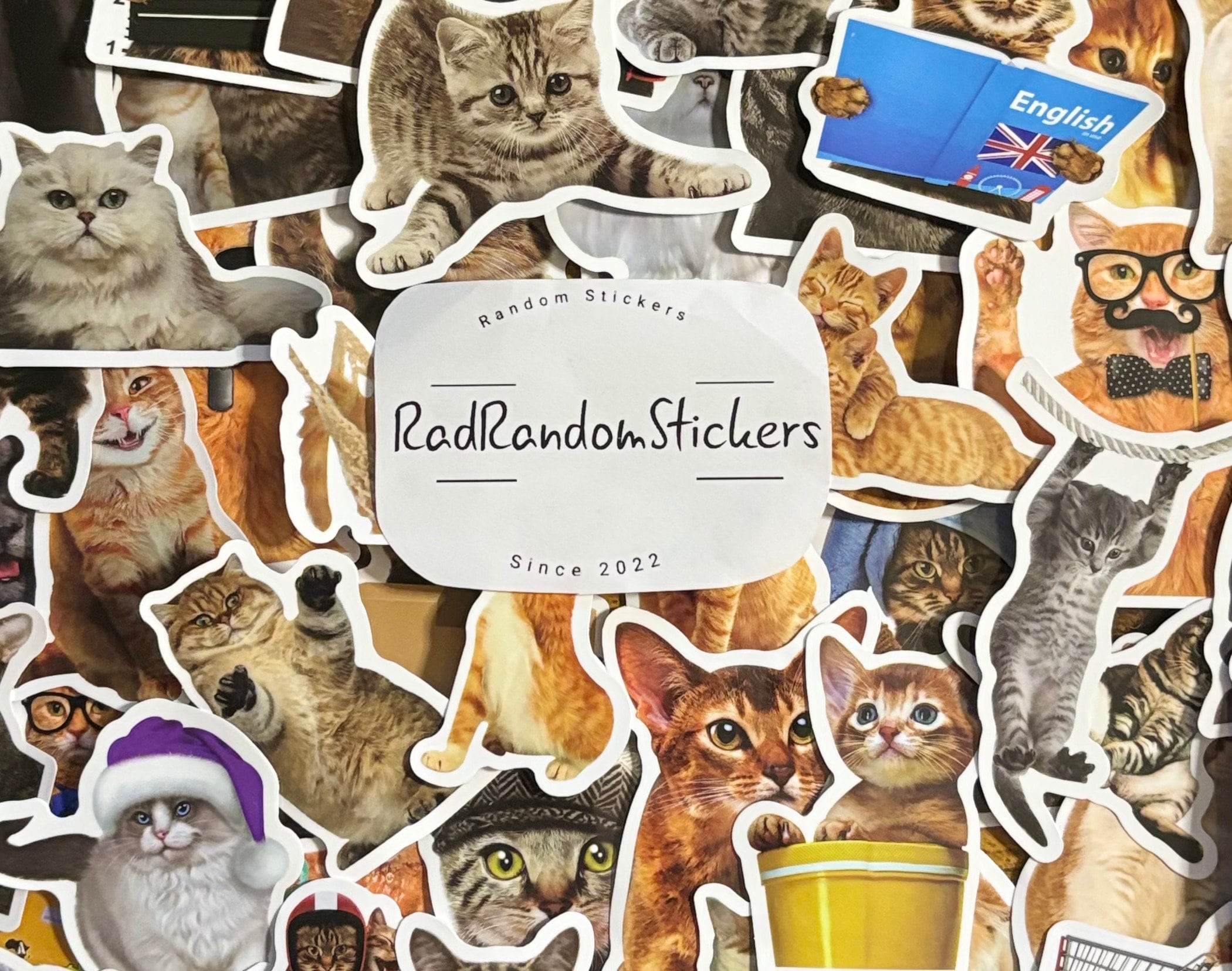 Fun Cute Cat Stickers Pack of 10, 20 or 50 Decals for Planners, Decorations, Rewards, Party Supplies, Gifts and More!