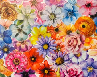 Flower, Wildflower, Transparent Stickers, Decals Journal, Letters, Planner, Coquette