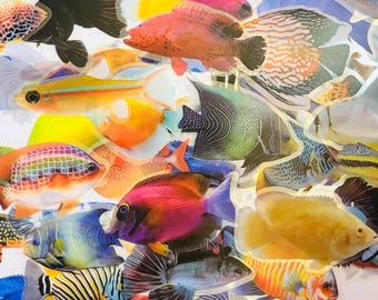 Tropical Fish Stickers, Aquarium Decor, Planner Stickers, Craft Supplies