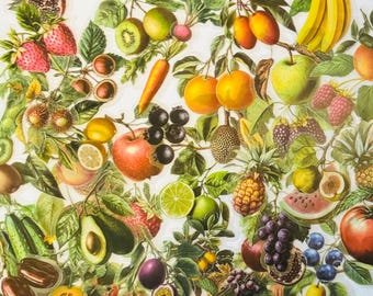 Fruit, Vegetable, Food, Kitchen, Cooking Stickers, Bullet Journal, Foodie Coquette Stickers, Pinterest
