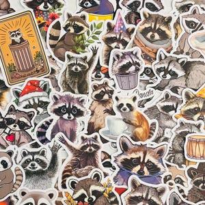 Raccoon Stickers Pack of 10, 20 or 50 Decals for Planners, Journals, Decorations, Rewards, Party Supplies, Gifts and More!