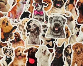 Realistic Funny Dog Stickers Decals for Planners, Journals, Decals, Pinterest