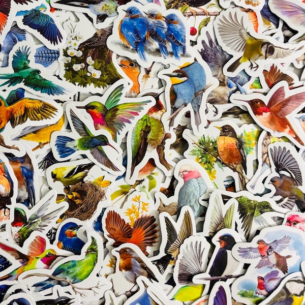 Bird In Flight Sticker Bird Stickers - Etsy