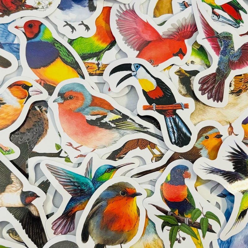 Bird Stickers - Etsy
