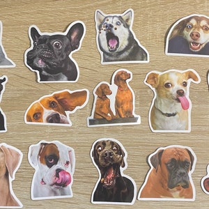 Hunde Aufkleber mit 10, 20 oder 50 Abziehbildern für Planer, Journals, Dekorationen, Belohnungen, Partyzubehör, Geschenke und mehr!