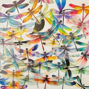 May include: A collection of colorful dragonfly stickers with a variety of wing patterns and body colors. The stickers feature shades of blue, green, yellow, orange, pink, and purple. The dragonflies are arranged on a white background.