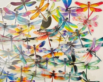 Colorful Dragonfly Stickers, Insect Decals, Planner Decorations