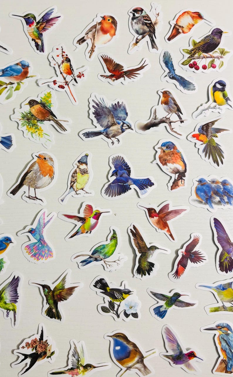 Bird Stickers, Avian Decals for Planners, Journals (10, 20, or 50) - Etsy