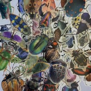 Può includere: Una collezione di vari adesivi a forma di insetto che include coleotteri, ragni e cimici in diversi colori, tra cui verde metallizzato, blu, arancione e nero. L'assortimento mostra motivi, texture e forme dettagliate di diverse specie.