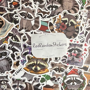 Wasbeerstickers Set van 10, 20 of 50 stickers voor planners, tijdschriften, decoraties, beloningen, feestartikelen, geschenken en meer!