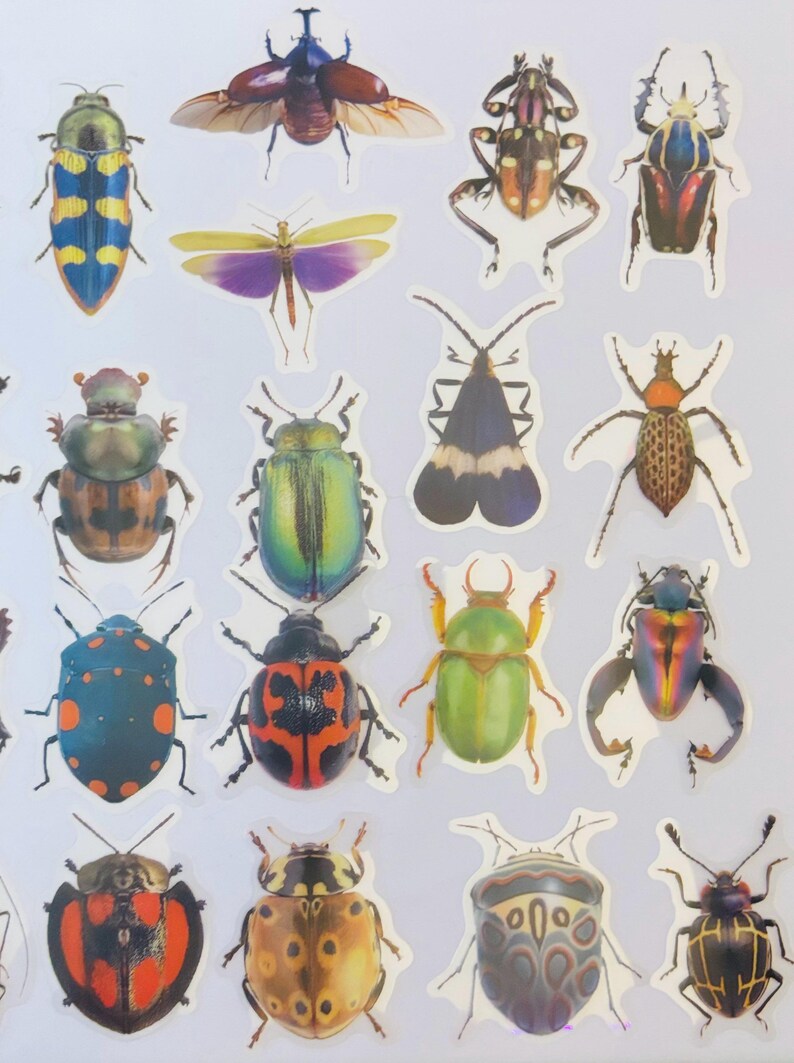 Insect Stickers, Bug Beetle Fly Stickers for Planners, Decorations (10 ...