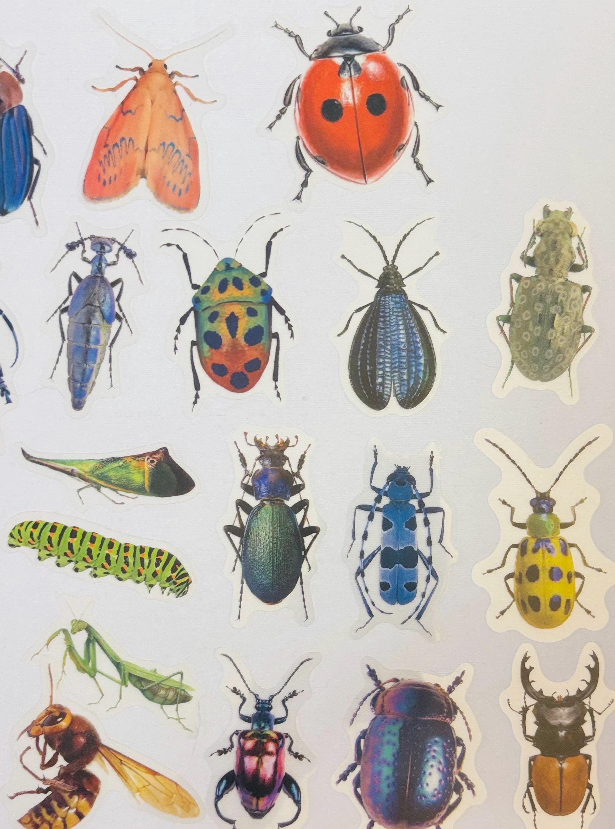 Insect Stickers, Bug Beetle Fly Stickers for Planners, Decorations (10 ...