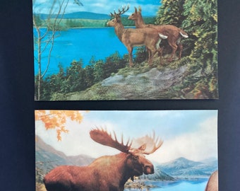 は自分にプチご褒美を 2 Postcards 3D Lenticular Set Japan Tokyo Co Wonder Toppan その他