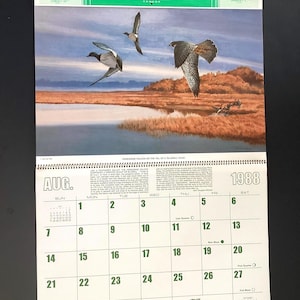 May include: A 1988 calendar featuring a painting of three birds in flight over a marshy landscape. The calendar includes the month of August and the DuPont Agricultural Products logo.