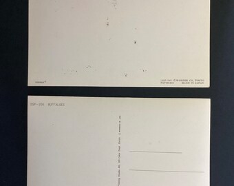 【超希少】NASA✖️TOPPAN レンチキュラーカード　2枚セット 3D Postcards 2 Lenticular Toppan Wonder Co Tokyo Japan Set
