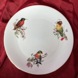 Georges Boyer Limoges - Etsy