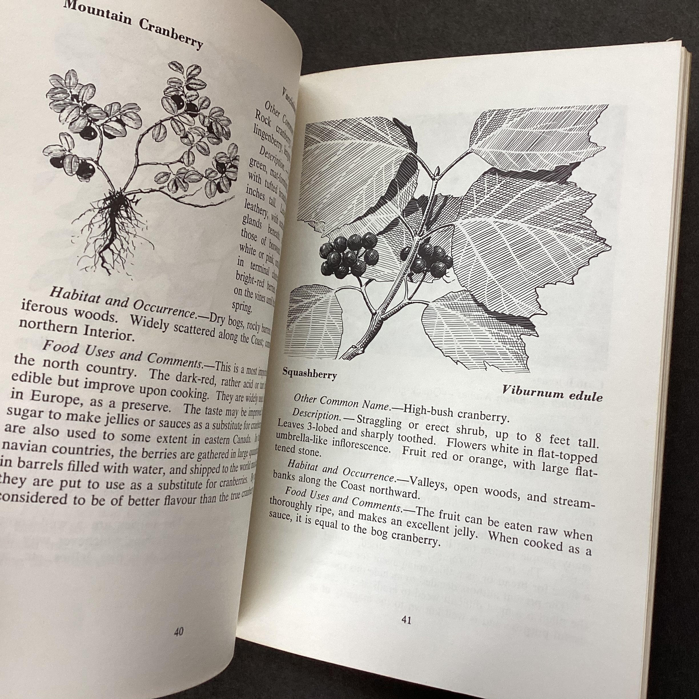 Guide to Edible Plants of British Columbia Provincial Museum Etsy