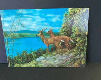 【超希少】NASA✖️TOPPAN レンチキュラーカード　2枚セット 3D Postcards 2 Lenticular Toppan Wonder Co Tokyo Japan Set