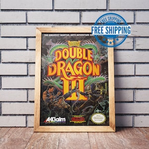 Vintage NES Game Box Art Poster, Double Dragon III