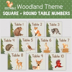 WOODLAND TABLE NUMBERS, Printable Classroom Table Numbers, Editable Group and Table Numbers, Woodland Table Labels, Primary Classroom Decor