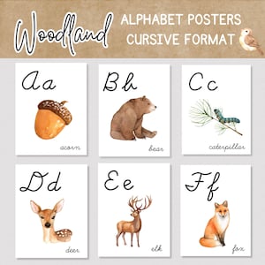 May include: Six alphabet posters in cursive, featuring woodland creatures and objects. Each poster shows a letter with a watercolour illustration: acorn, bear, caterpillar, deer, elk, and fox. The background is white.