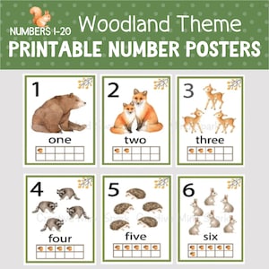 WOODLAND NUMBER POSTERS, Printable Woodland Theme, Numbers 1-20 Classroom Poster, Woodland Forest Classroom Decor, Homeschool Class Decor