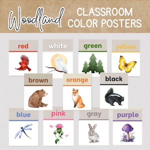 WOODLAND COLOR POSTERS Für Klassenzimmer, druckbare Wandposter, Woodland Color Charts für Grundschulklassen, Homeschool Class Decor