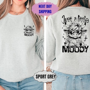 Just A Little Moody Sweatshirt, Sarcastic Snarky Western Cow Hoodie, Funny Heifer Highland Cow Sweater, Funny Adult, Iced Coffee Funny Cow