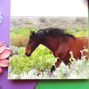 Tarjeta fotográfica de caballo. Tarjeta fotográfica de caballo corriendo. Regalo de papelería de vaquera del oeste. Regalo para amantes de los caballos. Tarjeta fotográfica original de caballo.