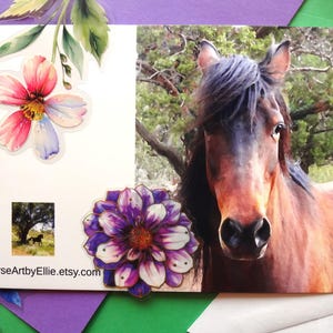Tarjeta con foto de caballo. Retrato de caballo con fotografía impresa. Papelería vaquera del oeste. Regalo para amantes de los caballos. Fotografía original de caballos.