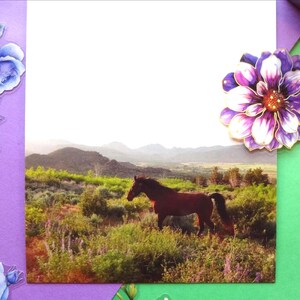 Pferdefoto-Grußkarte. Pferd in morgendlicher Landschaft. Western Cowgirl Briefpapier Geschenk. Pferd Liebhaber Geschenk. Original Pferdefotografie.