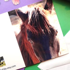 Tarjeta con foto de caballo. Retrato de caballo con fotografía impresa. Papelería vaquera del oeste. Tarjeta para amantes de los caballos. Fotografía original de caballos.