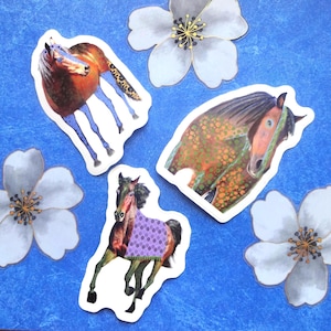 May include: A collection of horse stickers with watercolor illustrations, featuring various coat patterns and colors. The stickers are surrounded by white flower stickers with gold accents, all set against a textured blue background.