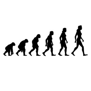Puede incluir: Una ilustración en silueta en blanco y negro de la evolución de los humanos, comenzando con un mono y terminando con un humano moderno.