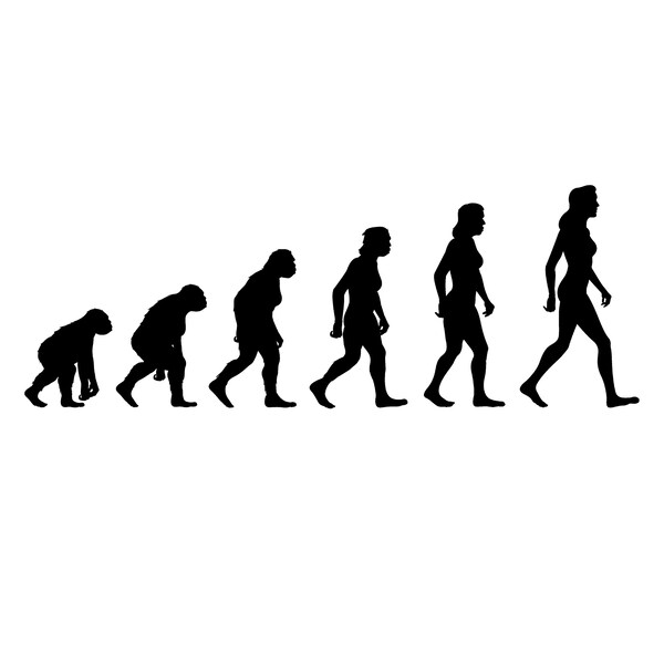 Evolution svg files for making custom evolution shirts, print files, female silhouette evolution eps vector files for sublimation