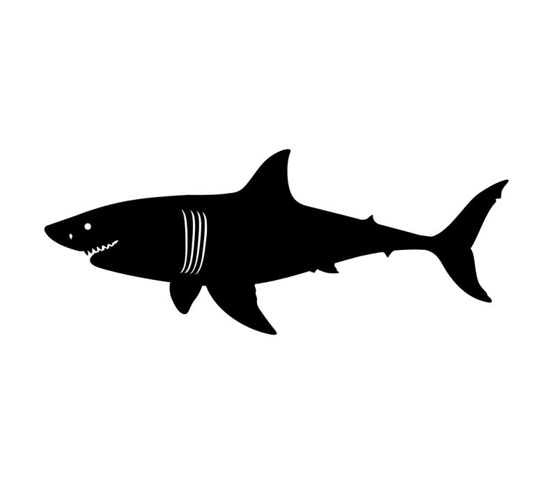 Hai svg, Hai png, Hai silhouette, Hai schneiden Datei, png, eps, Vektor ...