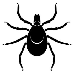 Tick svg, parasite, parasitic arachnid svg, png eps vector file