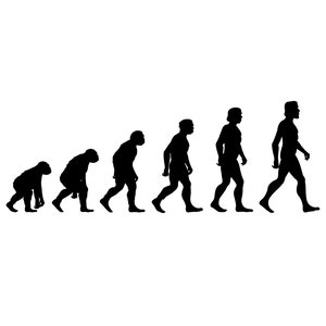 Puede incluir: Una ilustración en silueta en blanco y negro de la evolución de los humanos, comenzando con un mono y terminando con un humano moderno.