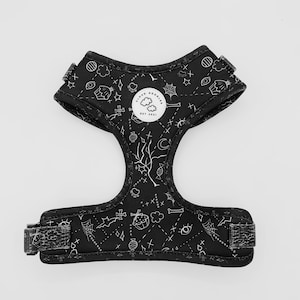 PAWTY AFTER DARK Hundegeschirr| kein Pull-Mesh-Harness | weich | langlebig|verstellbar|schwarze Gassi Accessoires|originelles Design|Halloween Muster
