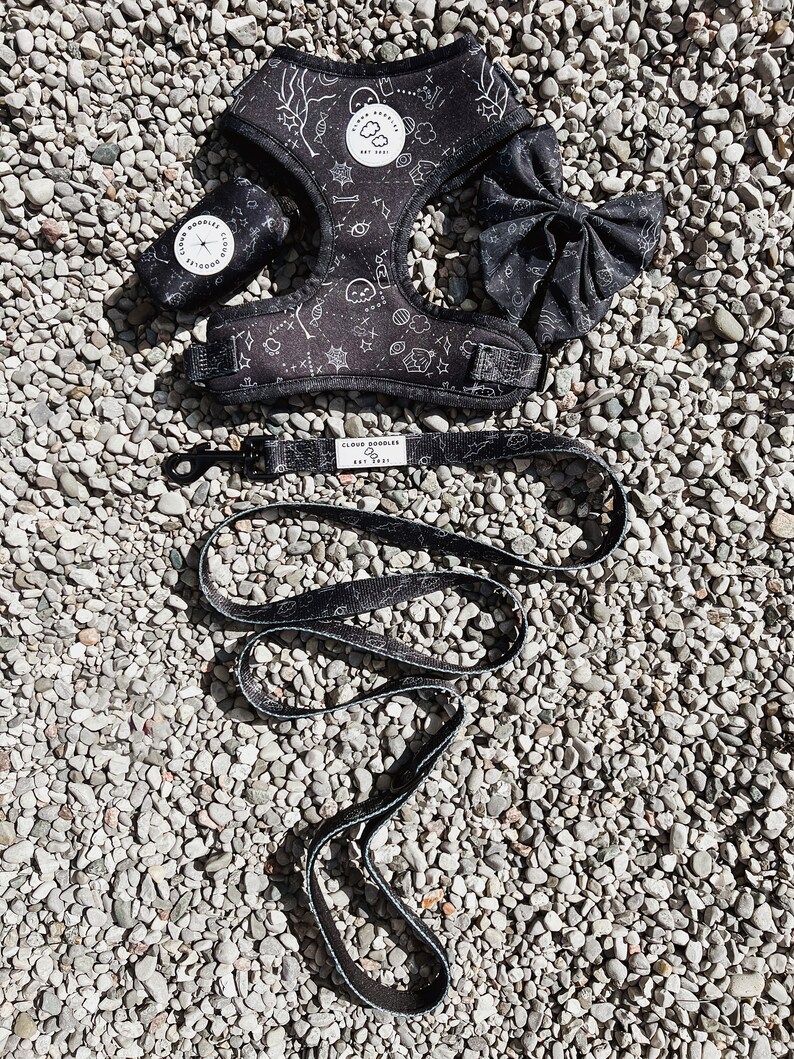 May include: A black dog harness set with a matching lead, bow, and waste bag dispenser. The set features a white celestial pattern on a black background. The lead and harness have the text "Cloud Doodles Est. 2021".