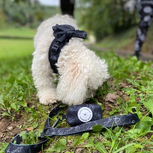 May include: A white dog wearing a black harness and bow tie, with a matching leash and waste bag. The leash and bag feature a white celestial pattern. The waste bag has the text "Cloud Doodles" on it.
