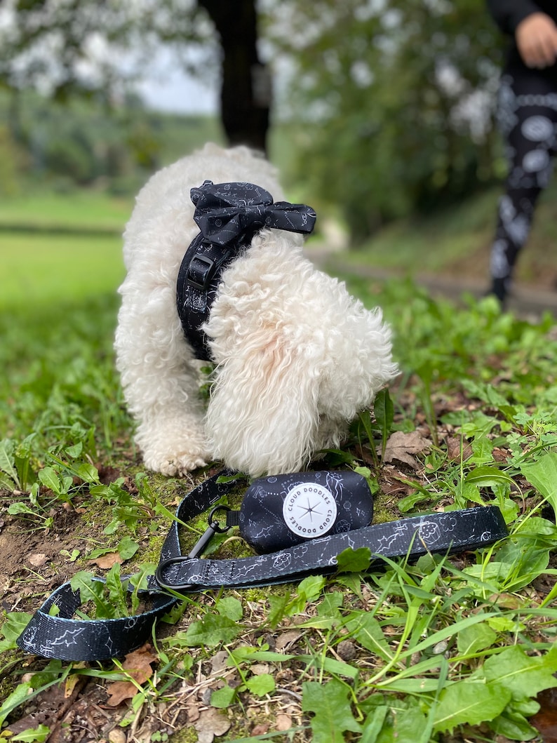 May include: A white dog wearing a black harness and bow tie, with a matching leash and waste bag. The leash and bag feature a white celestial pattern. The waste bag has the text "Cloud Doodles" on it.