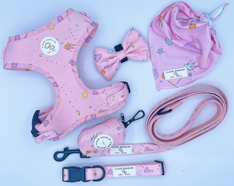 PAWTY IN PINK | Adjustable Dog Harness Set | No Pull | Breathable Material | Pink Dog Accessories | Dog Walking Set | original design