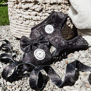 May include: A black dog harness, lead, and waste bag set with a white doodle pattern. The harness and waste bag have the text "Cloud Doodles" and a logo. The lead is black with a white doodle pattern. The set is on a bed of small grey stones.