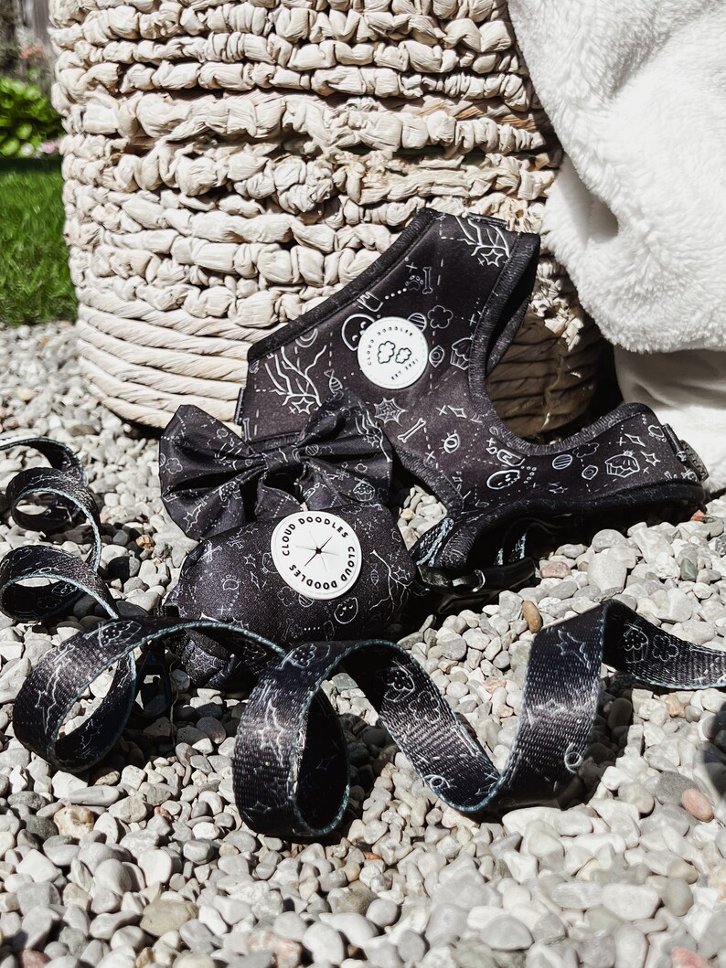 May include: A black dog harness, lead, and waste bag set with a white doodle pattern. The harness and waste bag have the text "Cloud Doodles" and a logo. The lead is black with a white doodle pattern. The set is on a bed of small grey stones.