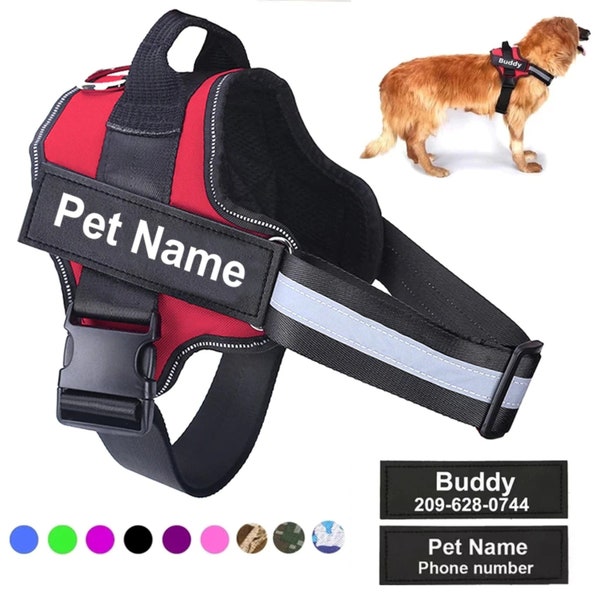 Dog Name Harness Etsy Australia