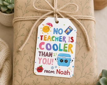 Editable Teacher Appreciation Gift Tag Canva Template, There’s No Teacher Cooler Than You Printable Tag, Digital Download