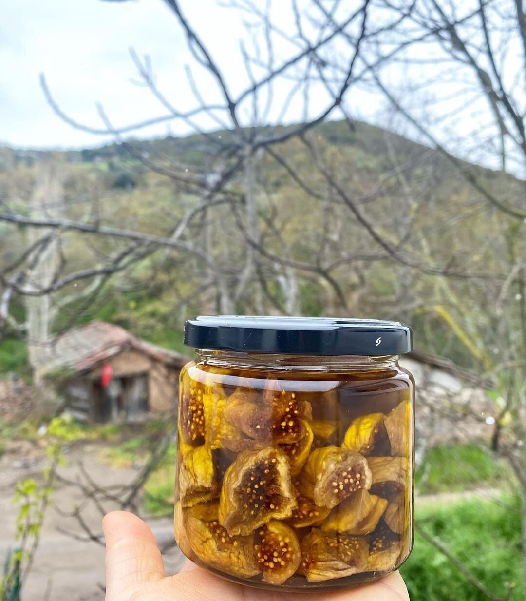 Dry Fig With Olive Oil Natural Pure Dried Fig With Olive Oil Etsy