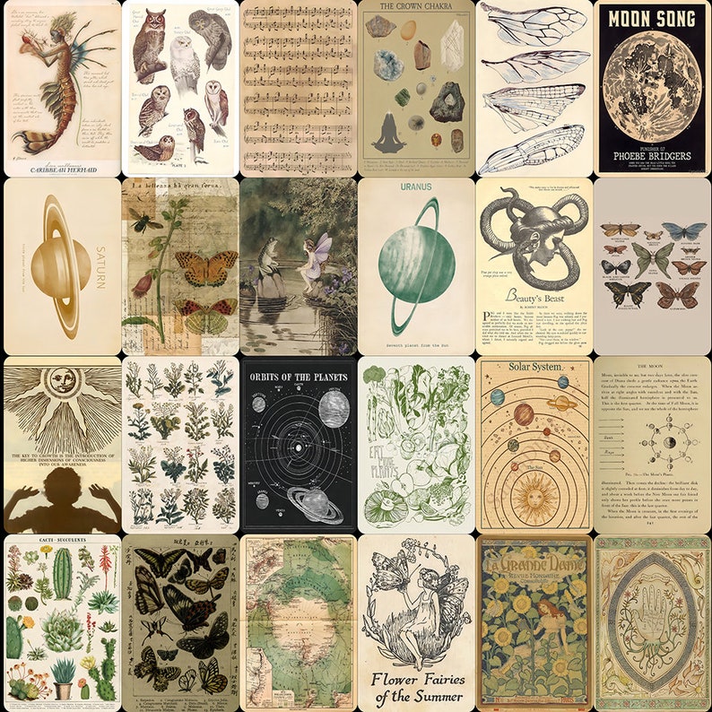 May include: A collage of vintage illustrations and images featuring nature, celestial bodies, and mythical creatures. The images include a fairy, a moon, a sun, a planet, a butterfly, a flower, a bird, and a musical score.