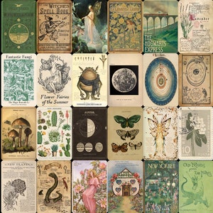 May include: A collage of vintage illustrations and images featuring fairies, mushrooms, flowers, a frog, a moon, a butterfly, a train, and a book titled "The Witches Spell Book".